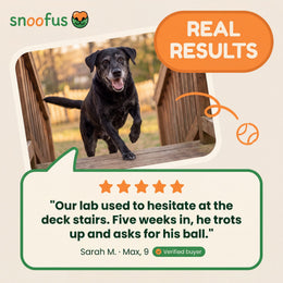 Real results - five star customer review about a labrador climbing the deck stairs again after five weeks