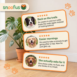 Three five-star Snoofus customer reviews about easier mornings and dogs leading the walk again
